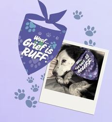 Wag Bag: Goodies for Good Doggos